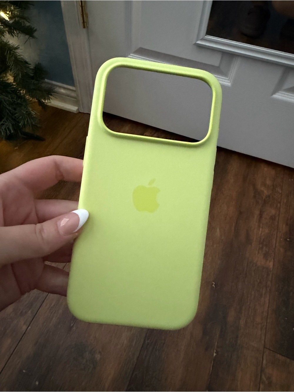 iPhone 17 Pro Apple Silicone Case